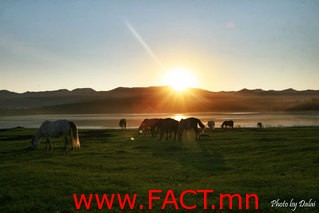 horse_flicker_016-middle