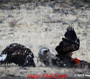 1383258_547955271950667_1550816430_n