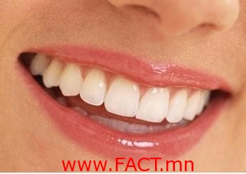 2038940080_qYA5d3rx_xx