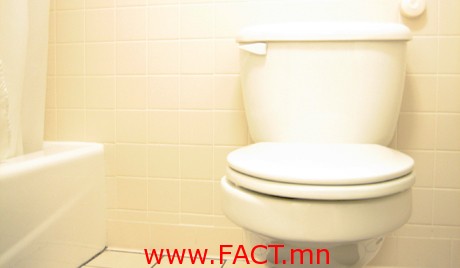 Дэлхийн хүн амын 15 хувь бие засах газаргүй амьдарч байна