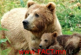 3b3d7784e16a49985970b995affbaee9_L