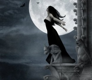 fd0d99db4b269c8boriginal