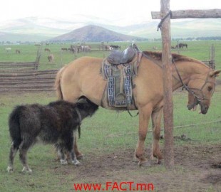 1560393_653722068004361_490333909_n