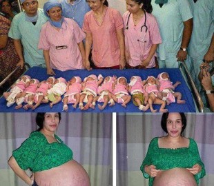 542698_520549574623589_344416726_n