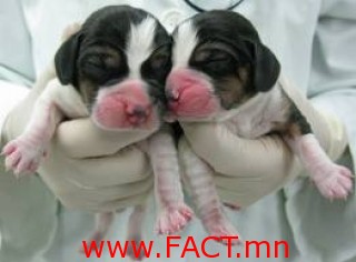 db7f7ee197dbfc0bf52efcf7ac4b9a71_L