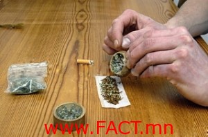 marihuan-middle-300x198