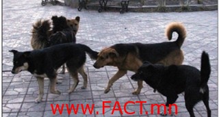 04d8494bf0790ab76dbf7ac29a3aa097_L