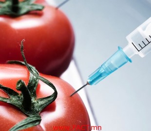 135943-28022014-1393553394-1162909709-gmo