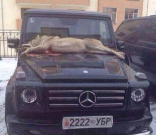 1655924_295816767210201_5176638_n