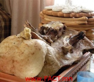 174ae83b8bc4c37cbig_500x500