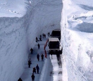 1926718_534209190026163_1163185443_n