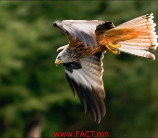 20140127101022hunting_fail_01