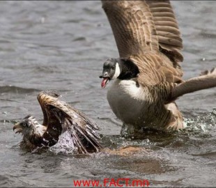 20140127101022hunting_fail_02