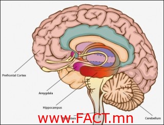 367d925b6e15fb6e19d64f21777bb664_L