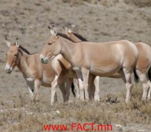 527-139269039551403_large