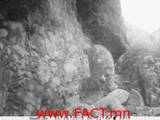 91c2033d7a72fbb4326e5656c3355812_L