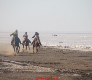 f84be27450f64b72great