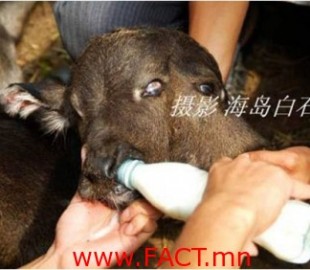 1626937531a05dfaa9ea95