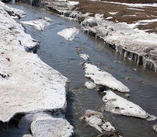 tuul gol yalzarch bna