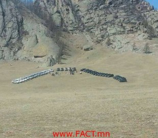 10174955_10152371974914375_3358751901646220252_n