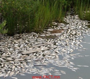 138138-14042014-1397436087-367017013-zagas