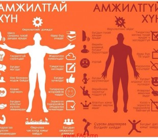 7009_729256960428908_846233528_n