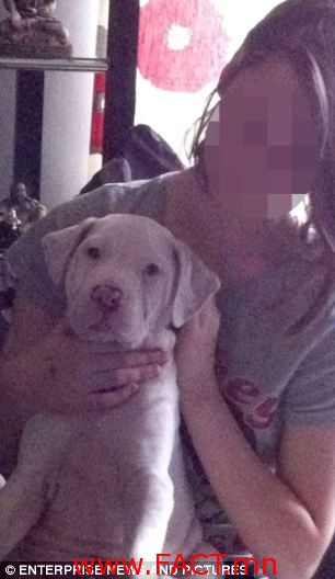 article-2299474-18F34557000005DC-809_306x528