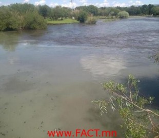 туул гол_500x500