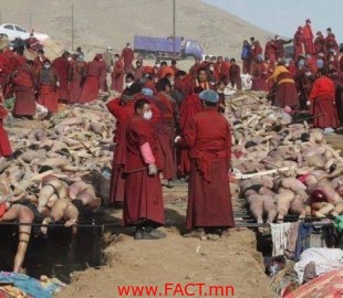 10334438_493731210727043_3906859850485537627_n