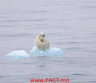 1538692_388899634578040_716813161_n