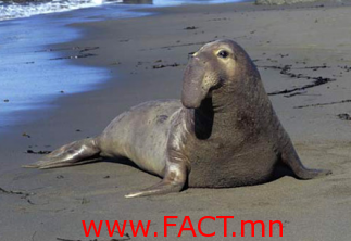 43ca205dbb2ccccdffb69d7979534627_x3