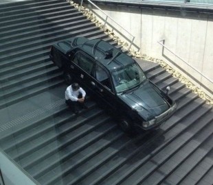 catsmob_daily_picdump_04066_056