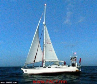 1193d1a839a36255original