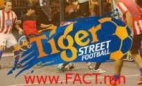 Tiger Street Football-2014