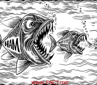 uls_tur_soronz_net-44