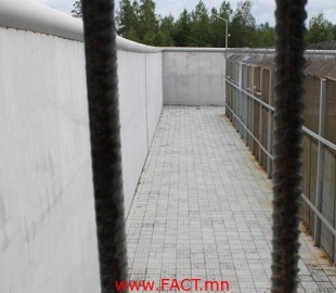 -08082014-1407467203-1451836517-horih