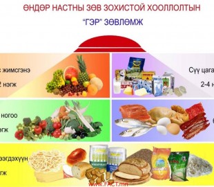 10379886_731142253645813_8921712095275377207_o