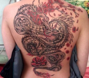 10559188_566957316746526_1422132976_n_zps897115ac