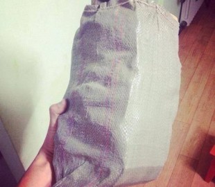 1969373_947746761920597_6740750571814743907_n