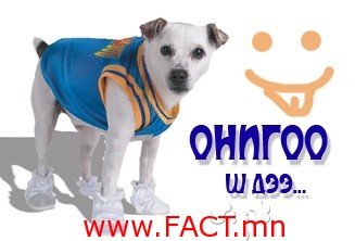 zaluu_543e2b6da923c_1