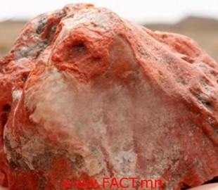 Гаалийн ерөнхий газ