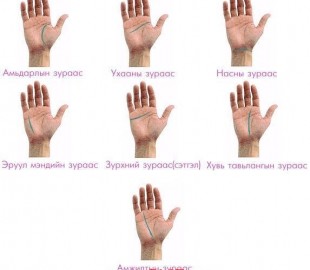 10257080_711652892229403_5634340868701048296_n