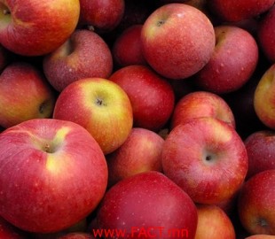 21e5d1c07a4d4c875c8c0b3ad0ecb931