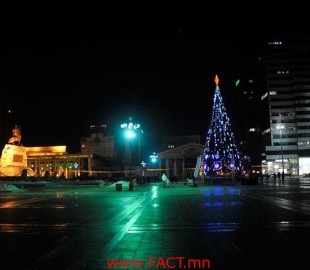 Төв талбайн сүлд мод