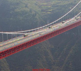 10848025_590766081078651_6800047486638095952_n