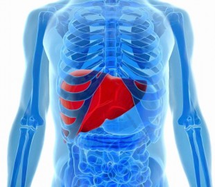 10854237_850017955050935_3182284955127642662_o