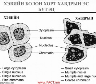 1469922_855149997871064_5931963850083304322_n