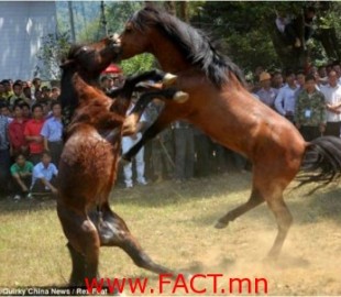 49226815490384ff310a11