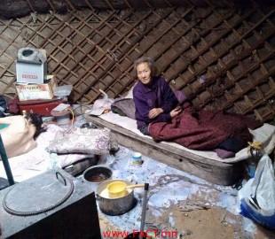 10897030_898310423554556_7920507063937325448_n