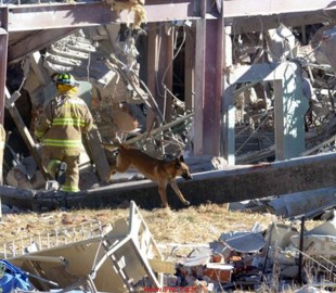 33d66367ec0fdb01original